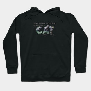 Life is not complete without a cat or 2 or 3 - grey cat oil painting word art Hoodie